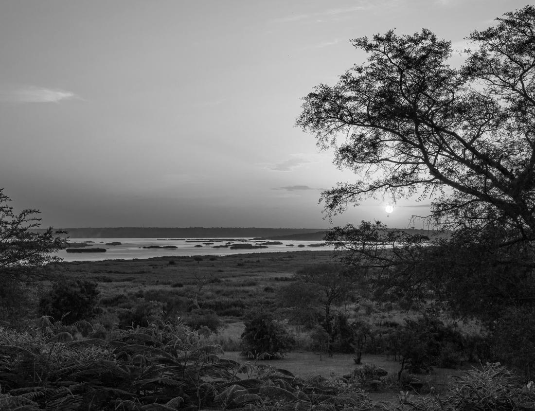 Noah Jigsaw Puzzle Financial District Skyline and Harbor at Dusk, Boston, Massachusetts, USA. in black white 1000 pieces