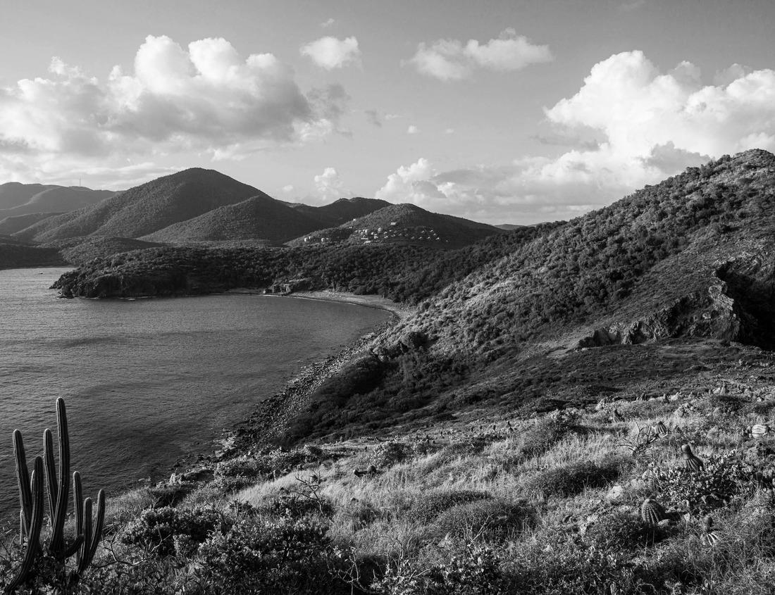 Noah Jigsaw Puzzle Charleston, South Carolina, USA cityscape in the historic French Quarter in black white 1000 pieces