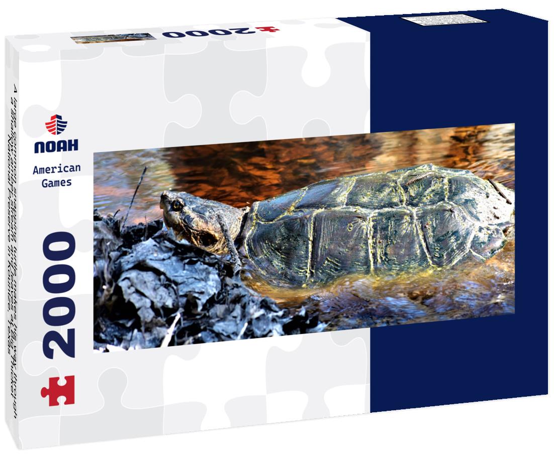 A large common snapping turtle makes his way through a shallow amber stream and leaves at Big Thicket National Preserve in Kountze, Texas 2000pc Panoramic Puzzle