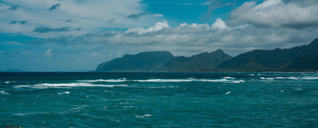 Kukuihoolua Island. La?ie Point State Wayside, Oahu, Hawaii. Casuarina equisetifolia, coastal she-oak, horsetail she-oak, beach sheoak, beach casuarina or whistling tree 2000pc Panoramic Puzzle