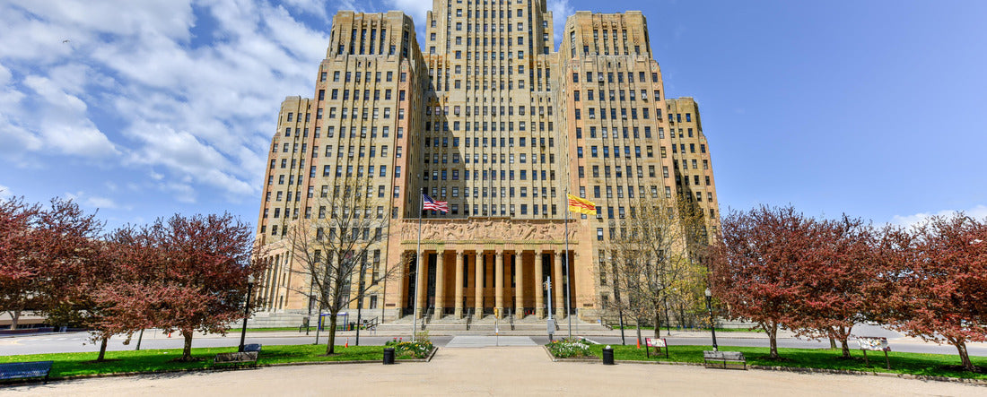 Noah Jigsaw Puzzle Buffalo City Hall panorama 2000 pieces