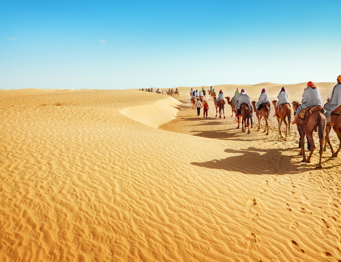 Noah Jigsaw Puzzle Desert of the Sahara 1000 pieces