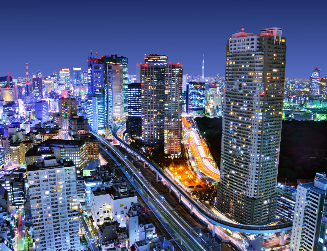 Noah Jigsaw Puzzle Dense buildings in Minato-ku, Tokyo Japan with Tokyo Sky tree visible on the horizon 1000 pieces