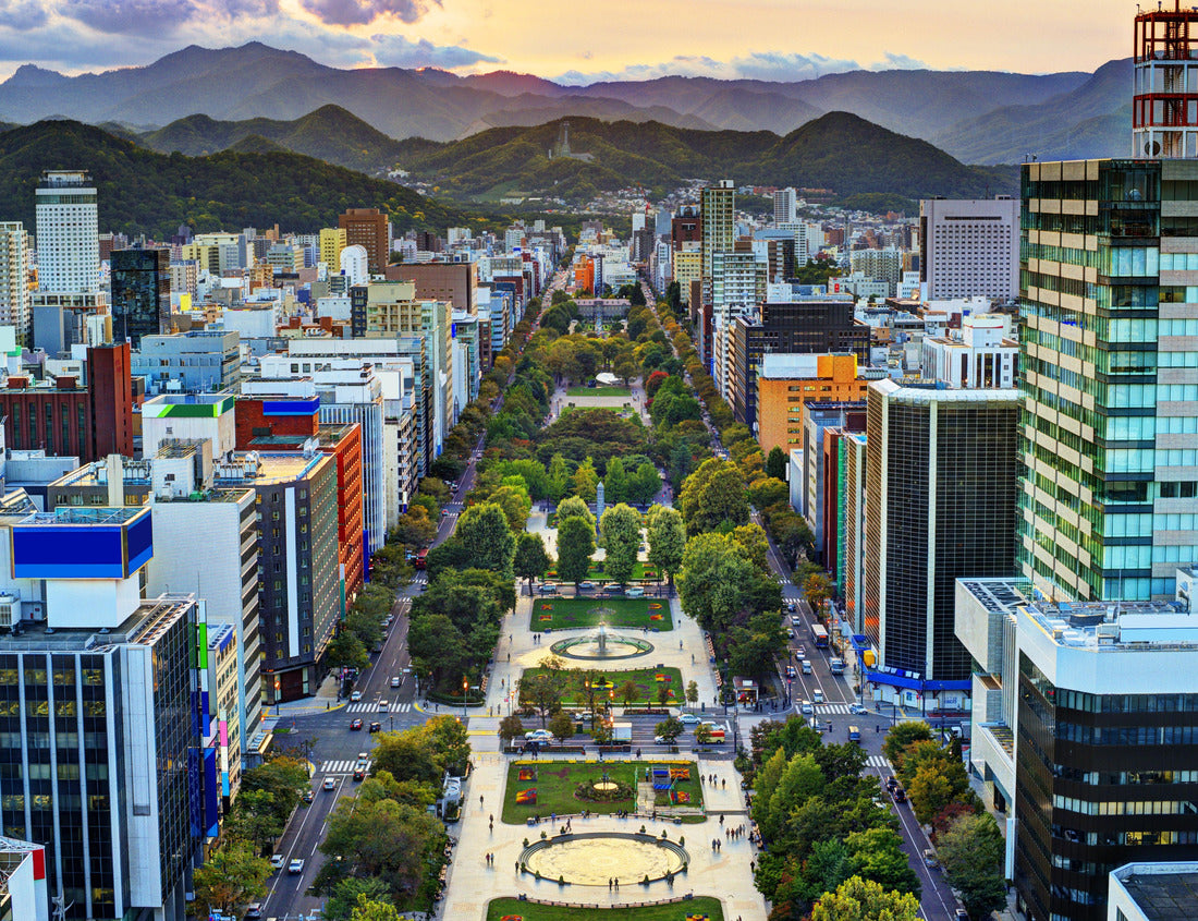 Noah Jigsaw Puzzle Cityscape of Sapporo, Hokkaido, Japan at Odori Park 1000 pieces