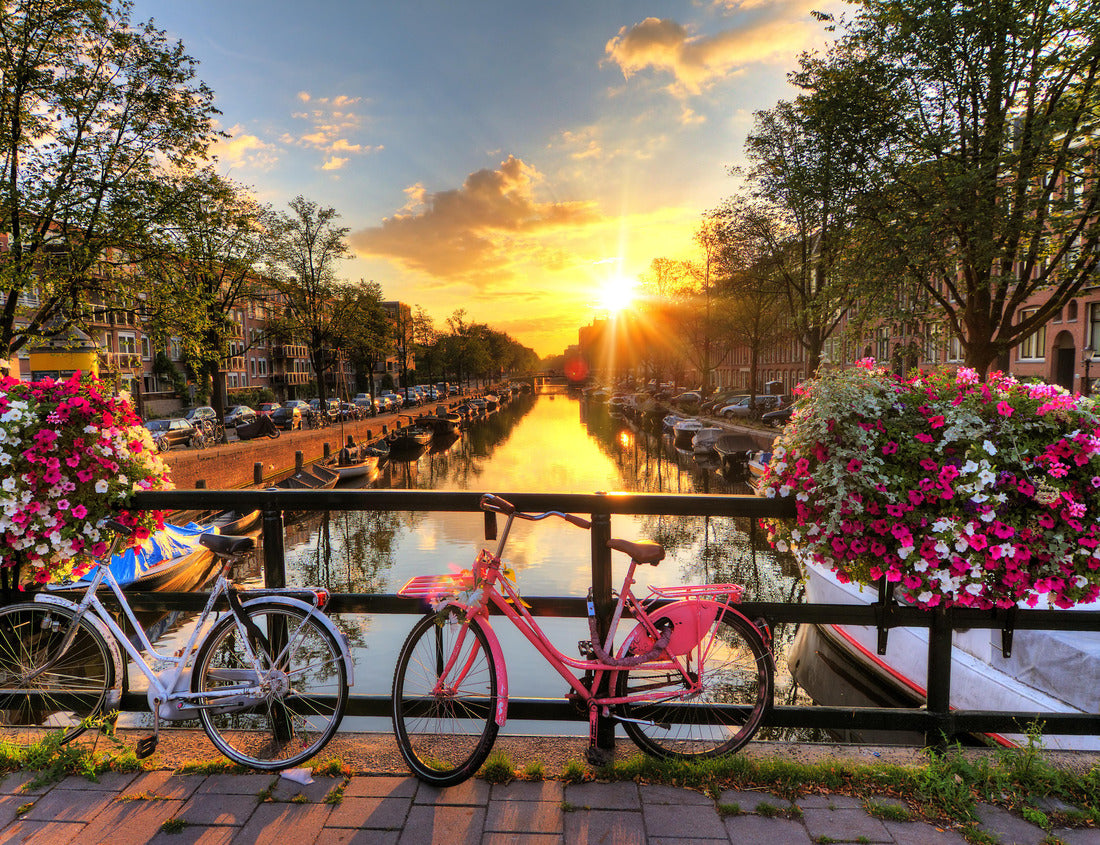 Noah Jigsaw Puzzle Beautiful sunrise over Amsterdam, Netherlands, with flowers and bicycles on the bridge in spring 1000 pieces