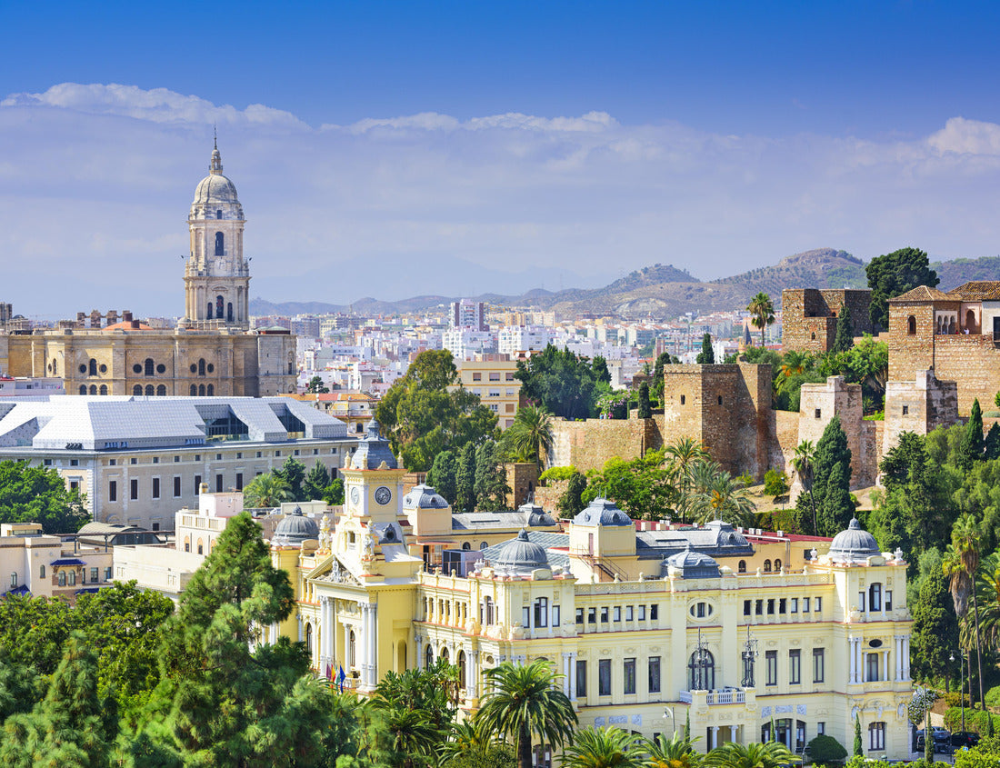 Noah Jigsaw Puzzle Malaga, Spain cityscape at the Cathedral, City Hall and Alcazaba citadel of Malaga 1000 pieces
