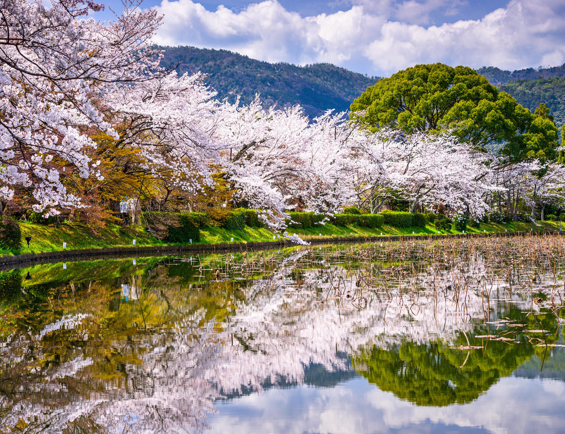 Noah Jigsaw Puzzle Kyoto, Japan in the Spring at Daikaku-ji Temple's pond 1000 pieces