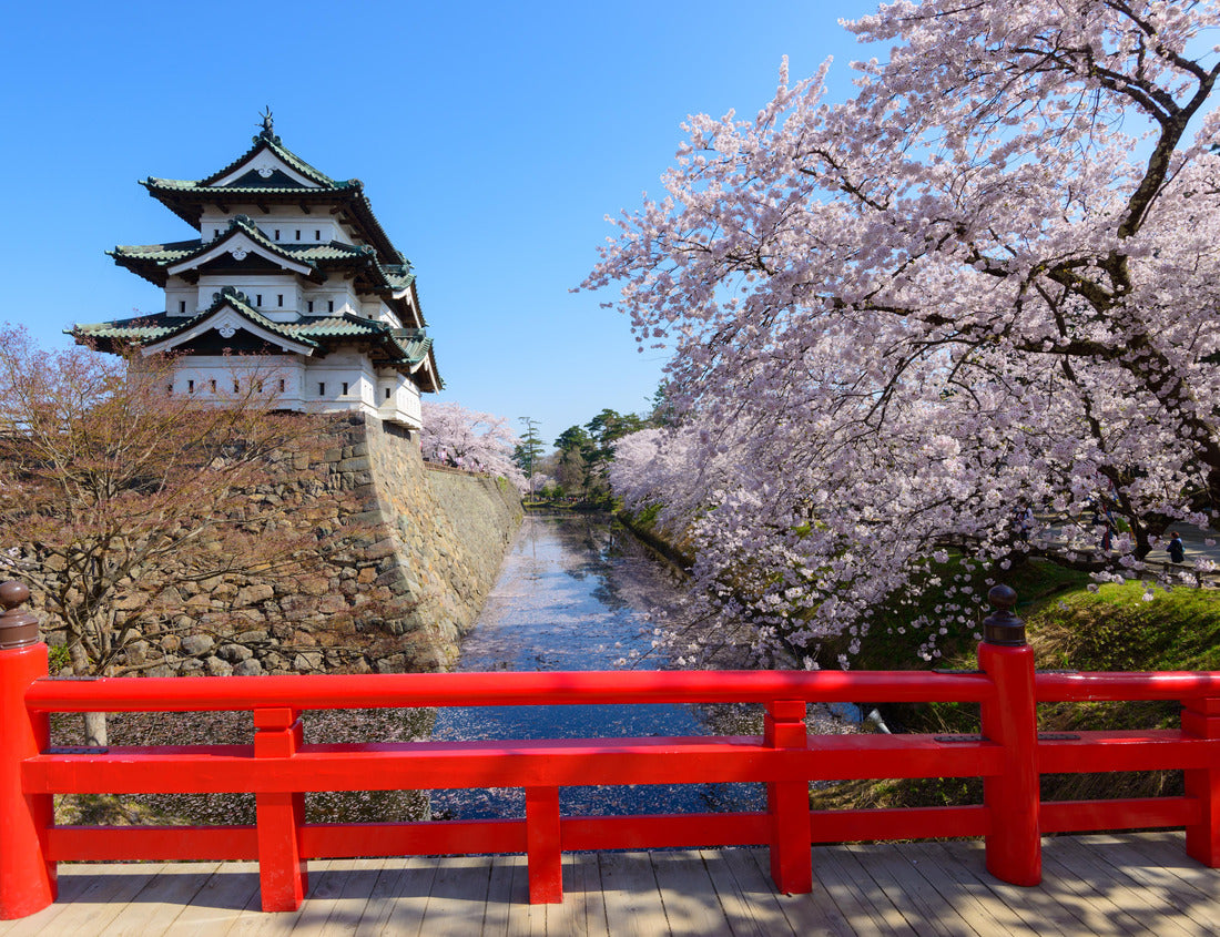 Noah Jigsaw Puzzle Cherry blossoms in Hirosaki Castle Park in Hirosaki, Aomori, Japan 1000 pieces