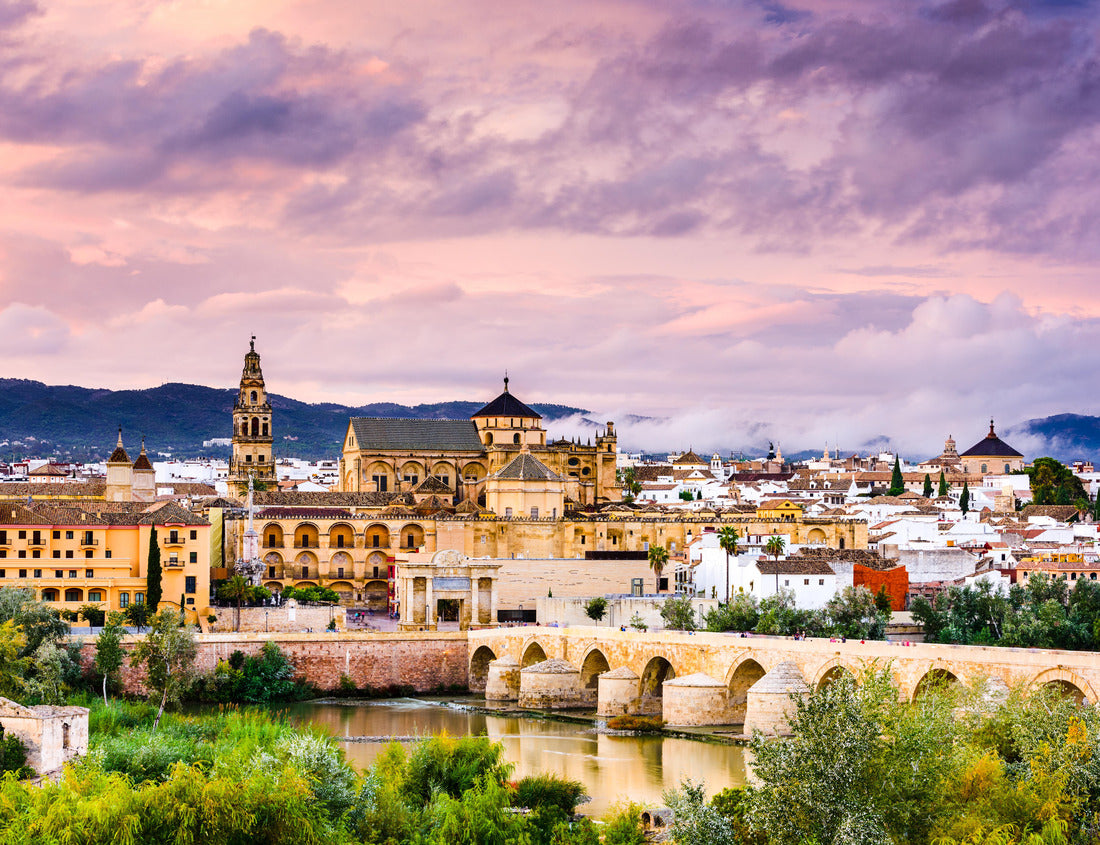 Noah Jigsaw Puzzle Cordoba, Spain at the Roman Bridge and Mosque-Cathedral on the Guadalquivir River 1000 pieces
