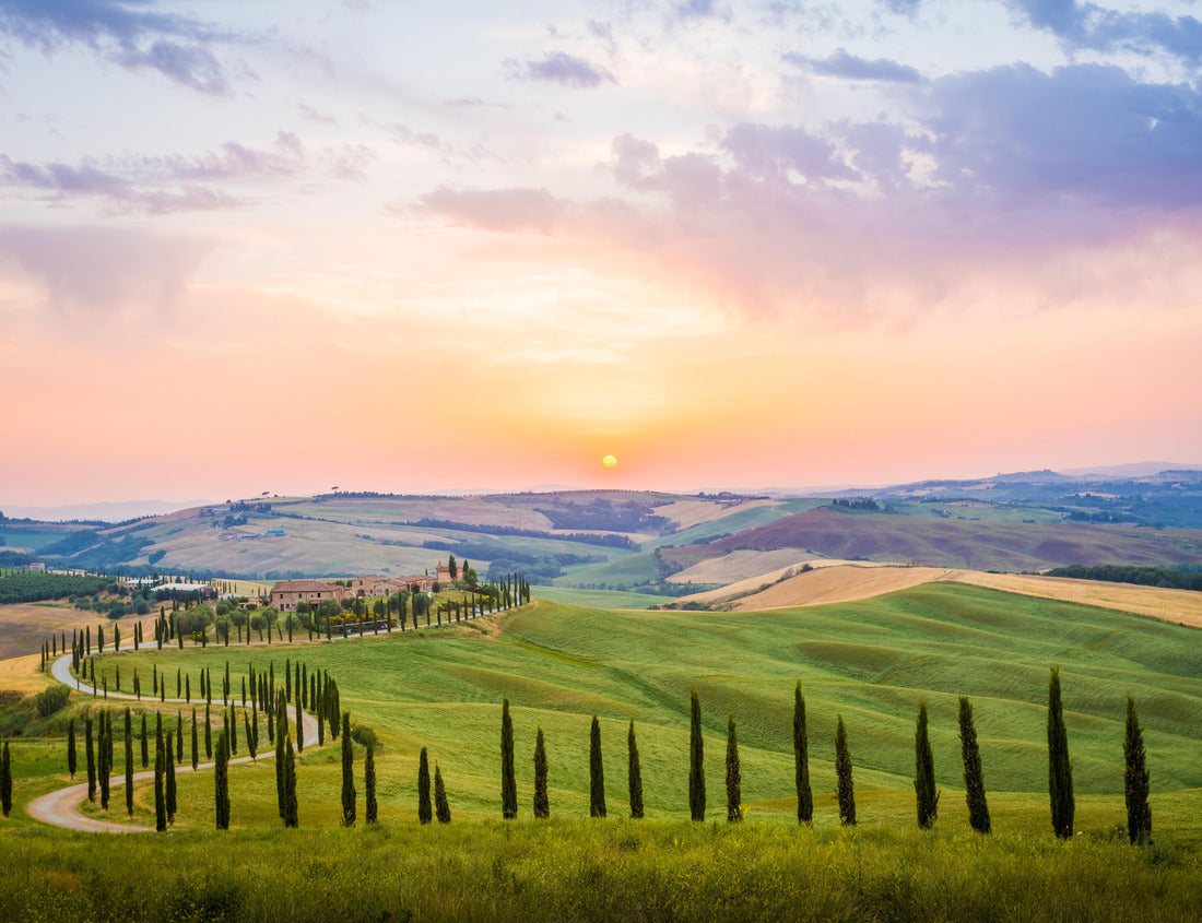 Noah Jigsaw Puzzle Crete Senesi, Tuscany, Italy. A lonely farmhouse with cypress and olive trees, rolling hills, Tuscany, Italy. A lonely farmhouse with cypress and olive trees, rolling hills 1000 pieces