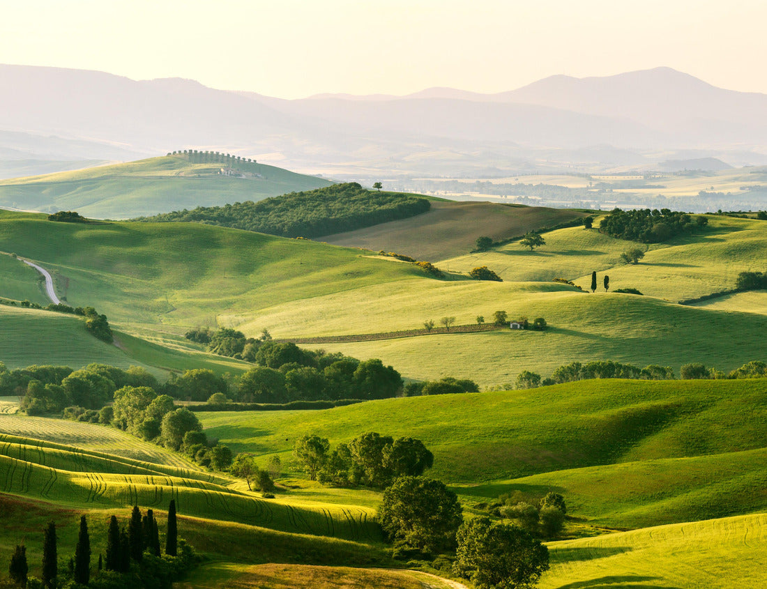 Noah Jigsaw Puzzle Beautiful and gorgeous colors of the green spring landscape of Tuscany, Italy 1000 pieces