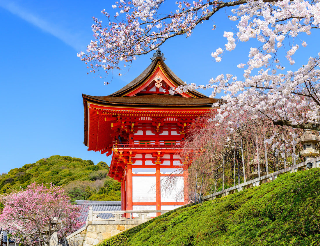 Noah Jigsaw Puzzle Kyoto, Japan at Kiyomizu-dera Temple in the spring 1000 pieces