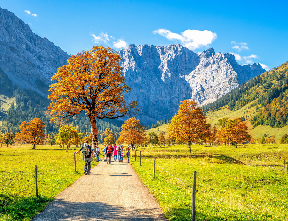 Noah Jigsaw Puzzle hiking in Tirol, Alps, Austria 1000 pieces