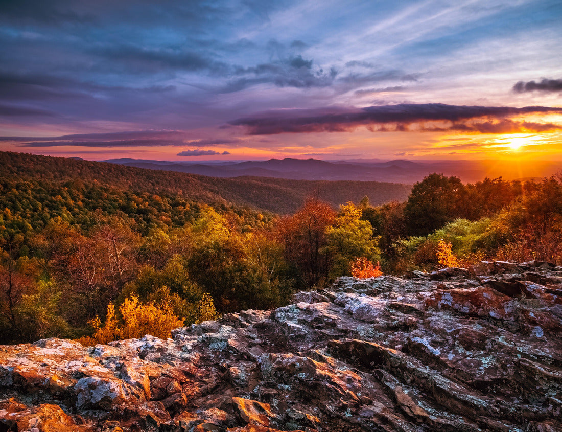 Noah Jigsaw Puzzle Autumn Dawn at Shenandoah National Park 1000 pieces