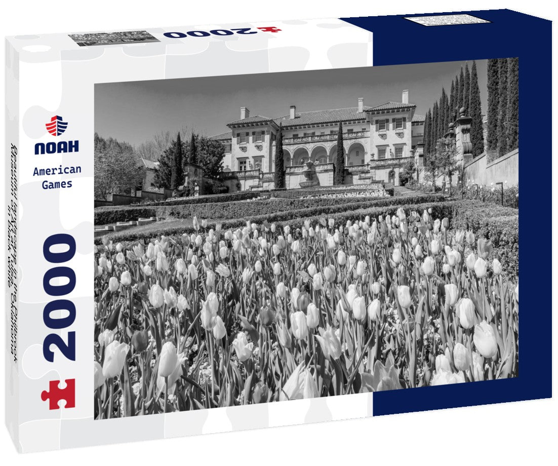 Noah Jigsaw Puzzle Beautiful landscape in the Philbrook Museum of Art at Tulsa, Oklahoma in black white 2000 pieces
