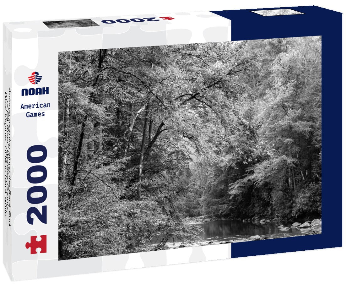 Noah Jigsaw Puzzle Autumn morning along the Back Fork of Elk River, Webster County, West Virginia, USA in black white 2000 pieces