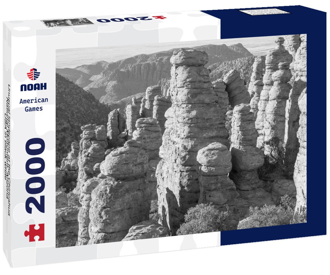 Noah Jigsaw Puzzle Unusual landscape at the Chiricahua National Monument, Arizona, USA in black white 2000 pieces