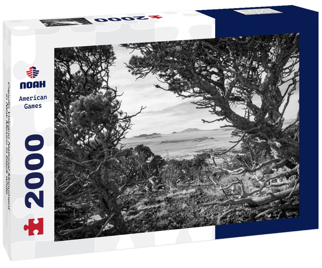 Noah Jigsaw Puzzle Capulin Volcano National Monument in New Mexico in black white 2000 pieces