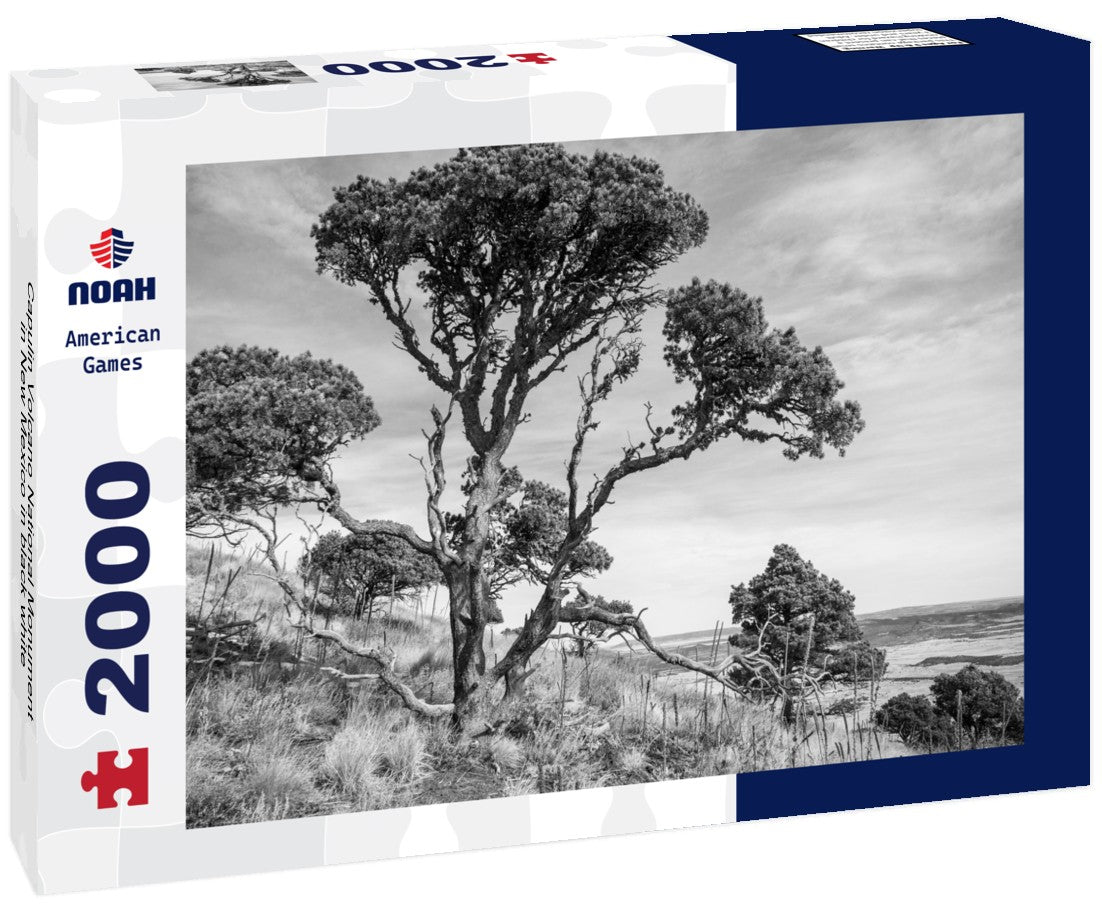 Noah Jigsaw Puzzle Capulin Volcano National Monument in New Mexico in black white 2000 pieces
