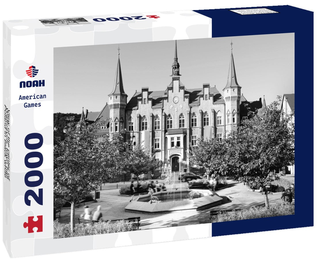 Noah Jigsaw Puzzle View of the center of Walbrzych, town hall, Poland in black white 2000 pieces