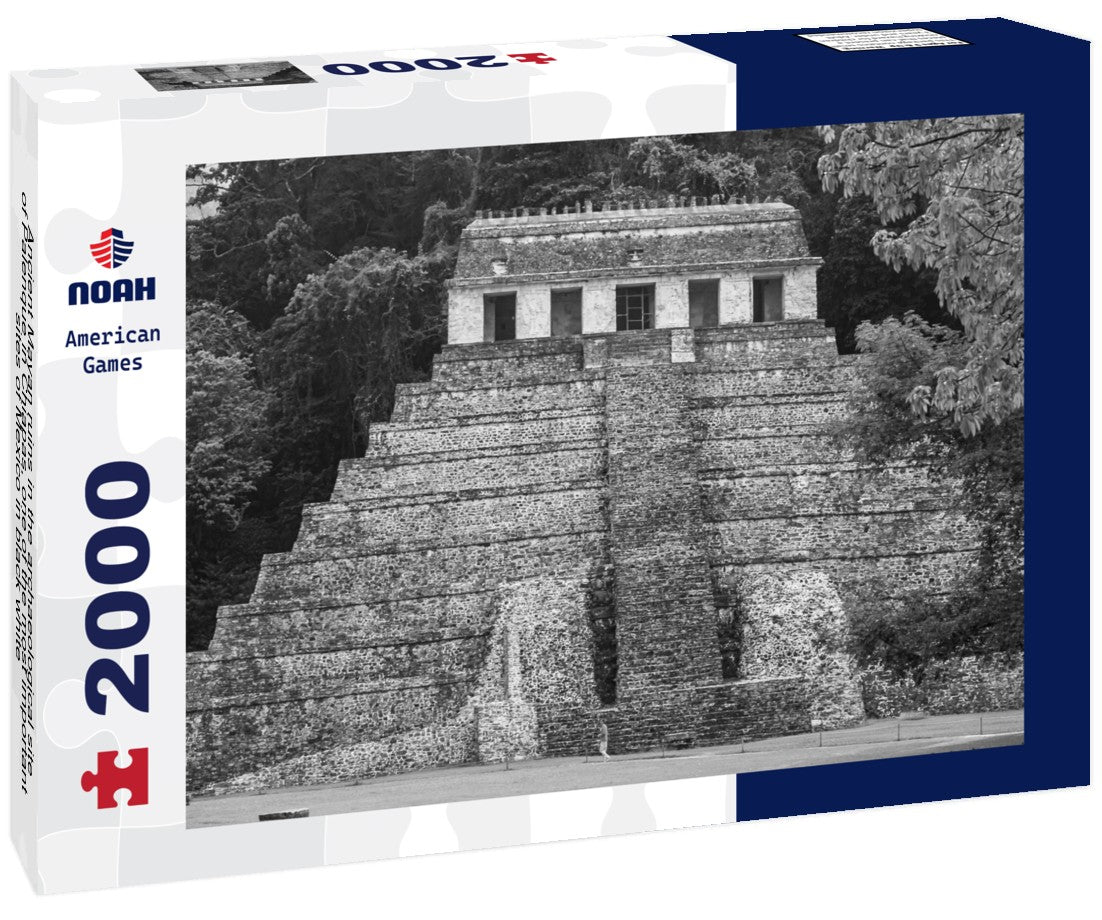 Noah Jigsaw Puzzle Ancient Mayan ruins in the archaeological site of Palenque in Chiapas, one of the most important sites of Mexico in black white 2000 pieces