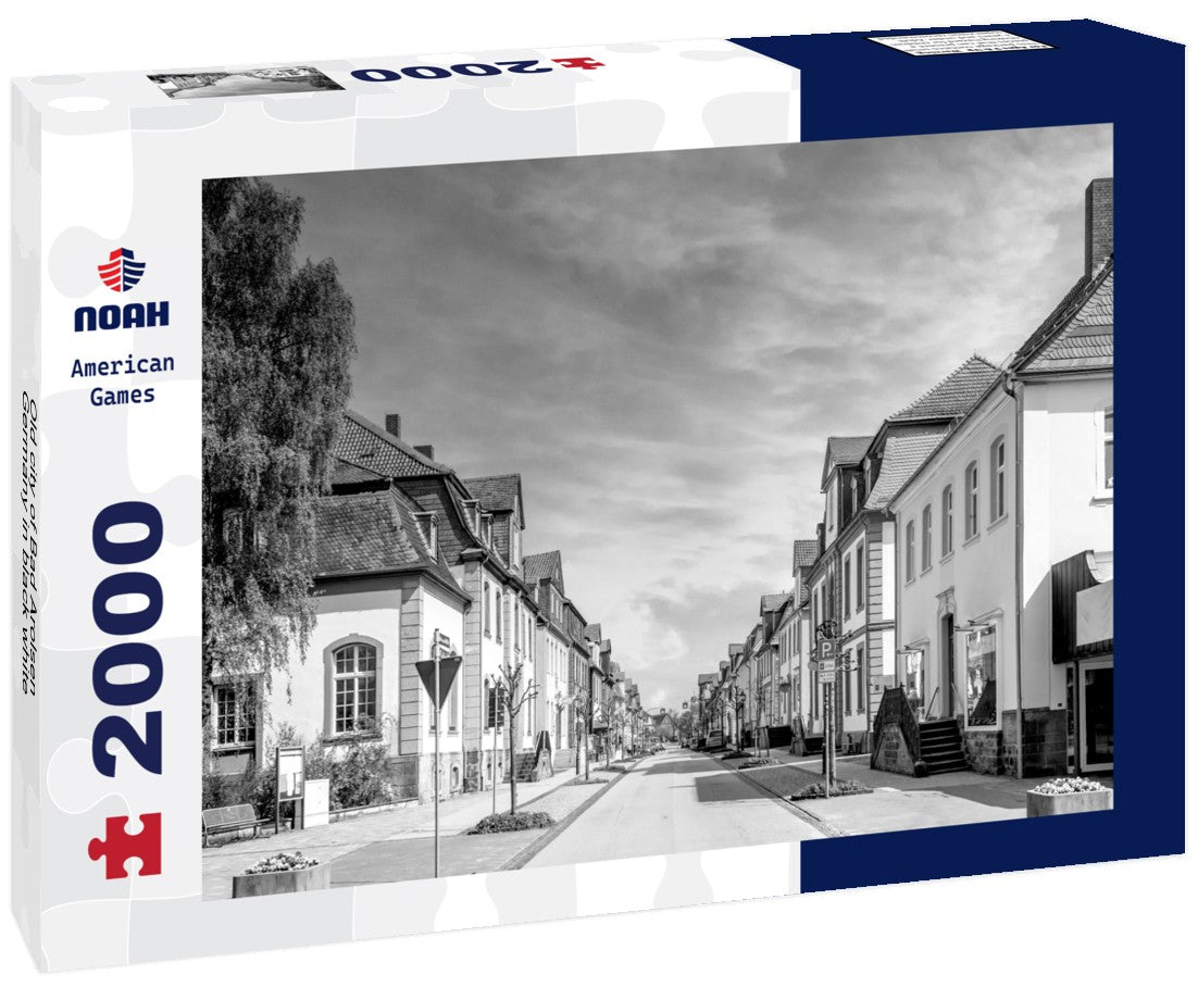 Noah Jigsaw Puzzle Old city of Bad Arolsen, Germany in black white 2000 pieces