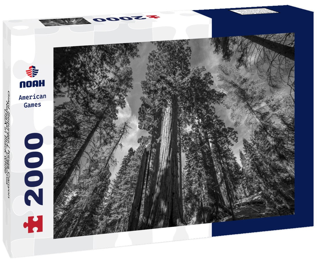 Noah Jigsaw Puzzle Giant Sequoias | Kings Canyon National Park, California, USA in black white 2000 pieces