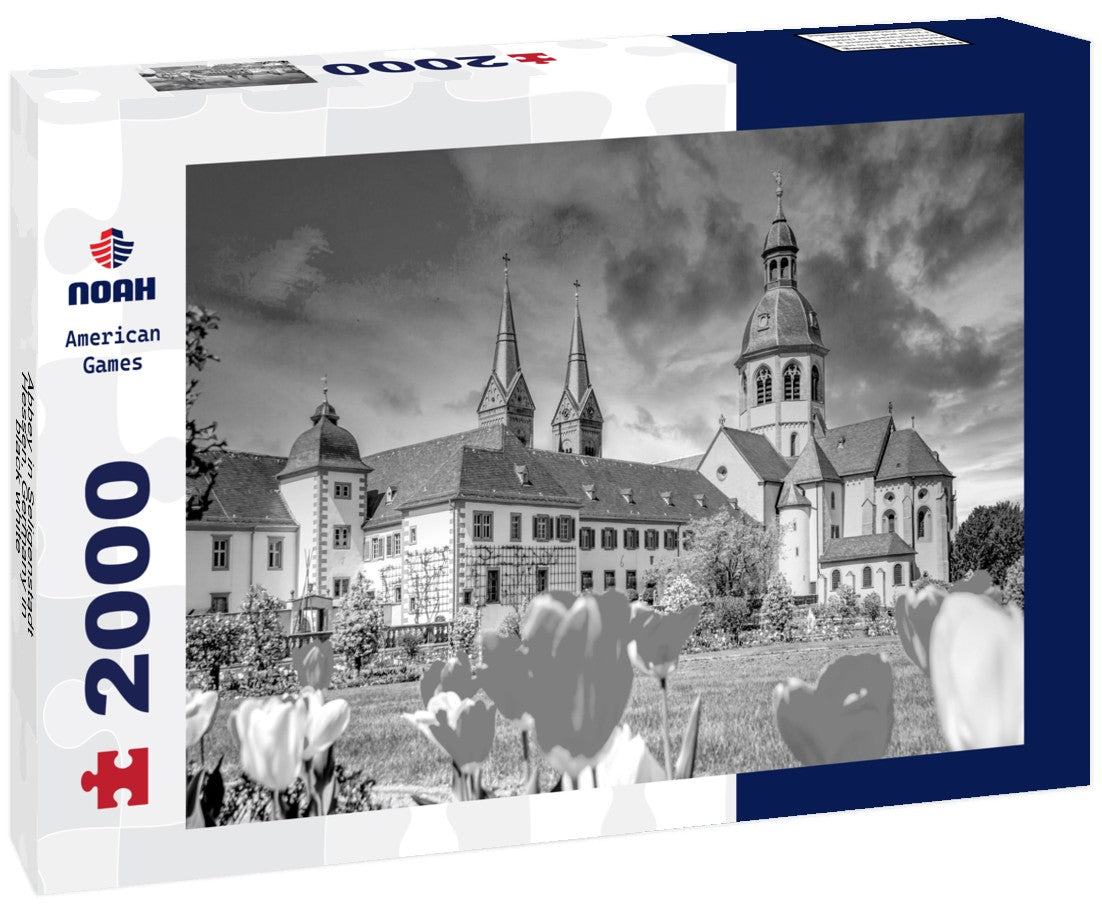 Noah Jigsaw Puzzle Abbey in Seligenstadt, Hessen, Germany in black white 2000 pieces