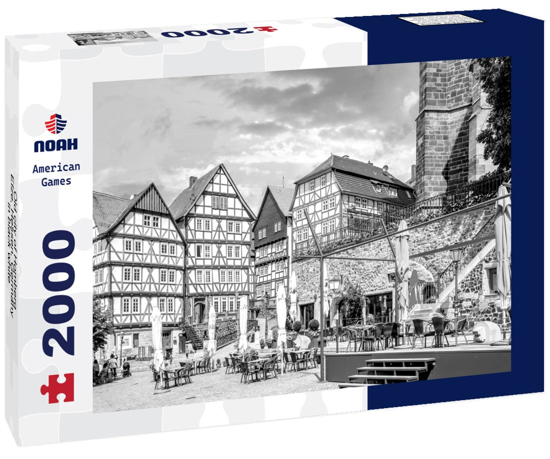 Noah Jigsaw Puzzle Old city of Homberg Efze, Hessen, Germany in black white 2000 pieces