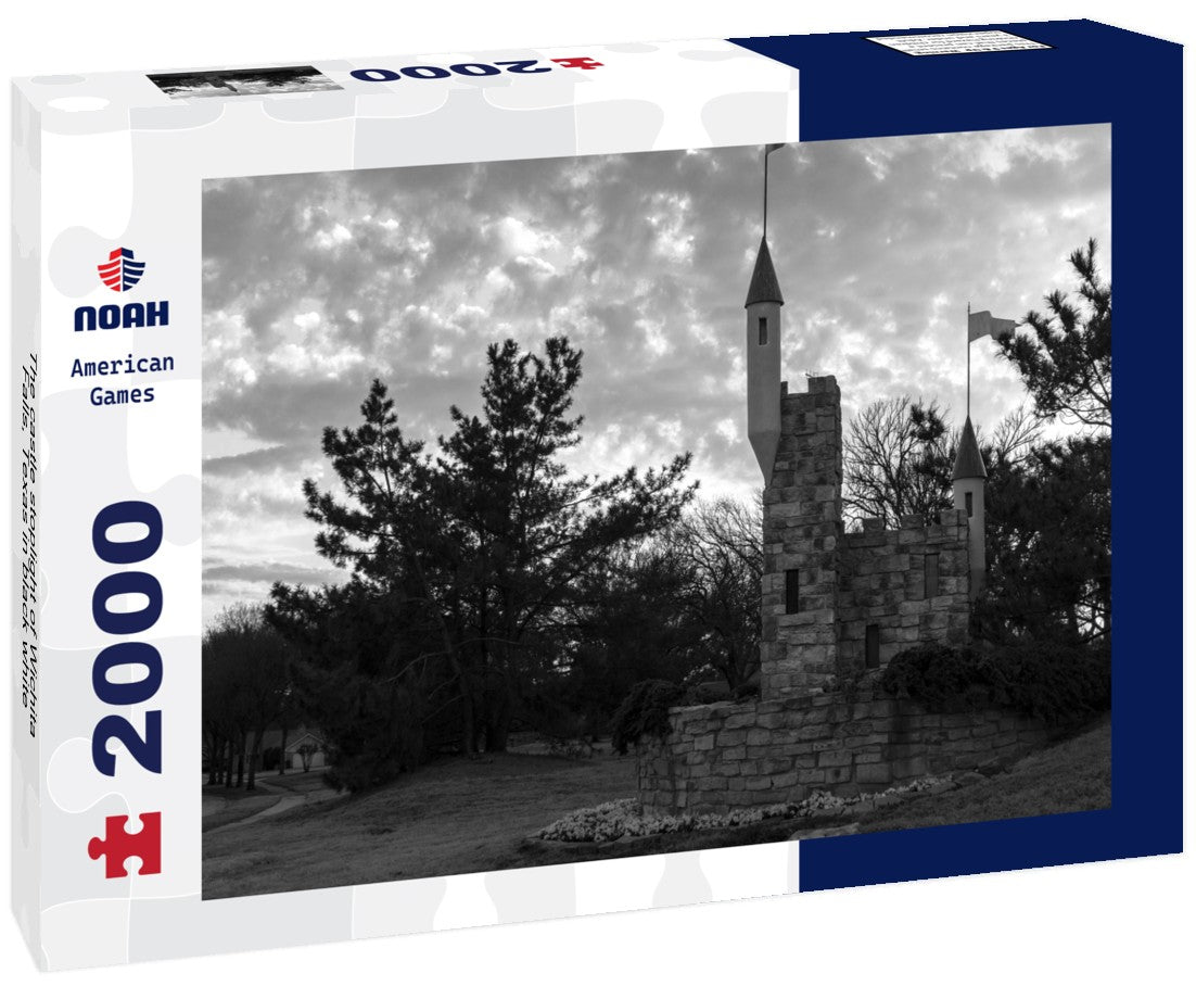 Noah Jigsaw Puzzle The castle stoplight of Wichita Falls, Texas in black white 2000 pieces