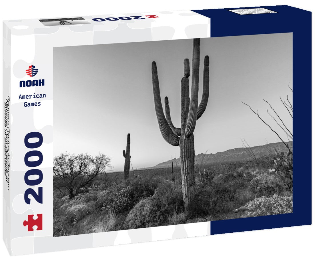Noah Jigsaw Puzzle Saguaro Cactus in Saguaro National Park Arizona at sunrise in black white 2000 pieces