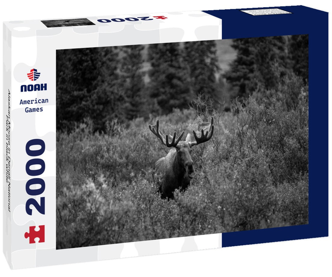 Noah Jigsaw Puzzle Alaskan Moose in Denali National Park in black white 2000 pieces