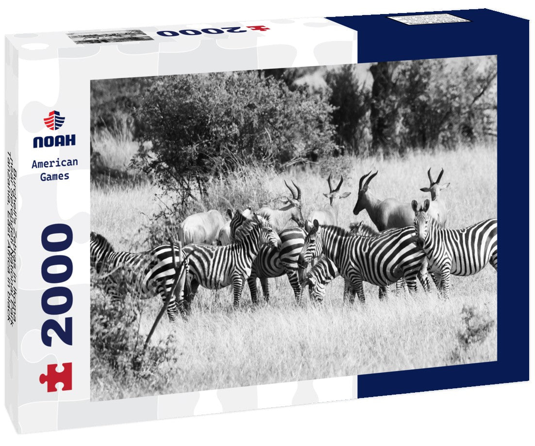 Noah Jigsaw Puzzle Burchell's Zebras in Ikoma, near Serengeti National Park, Tanzania, East Africa in black white 2000 pieces