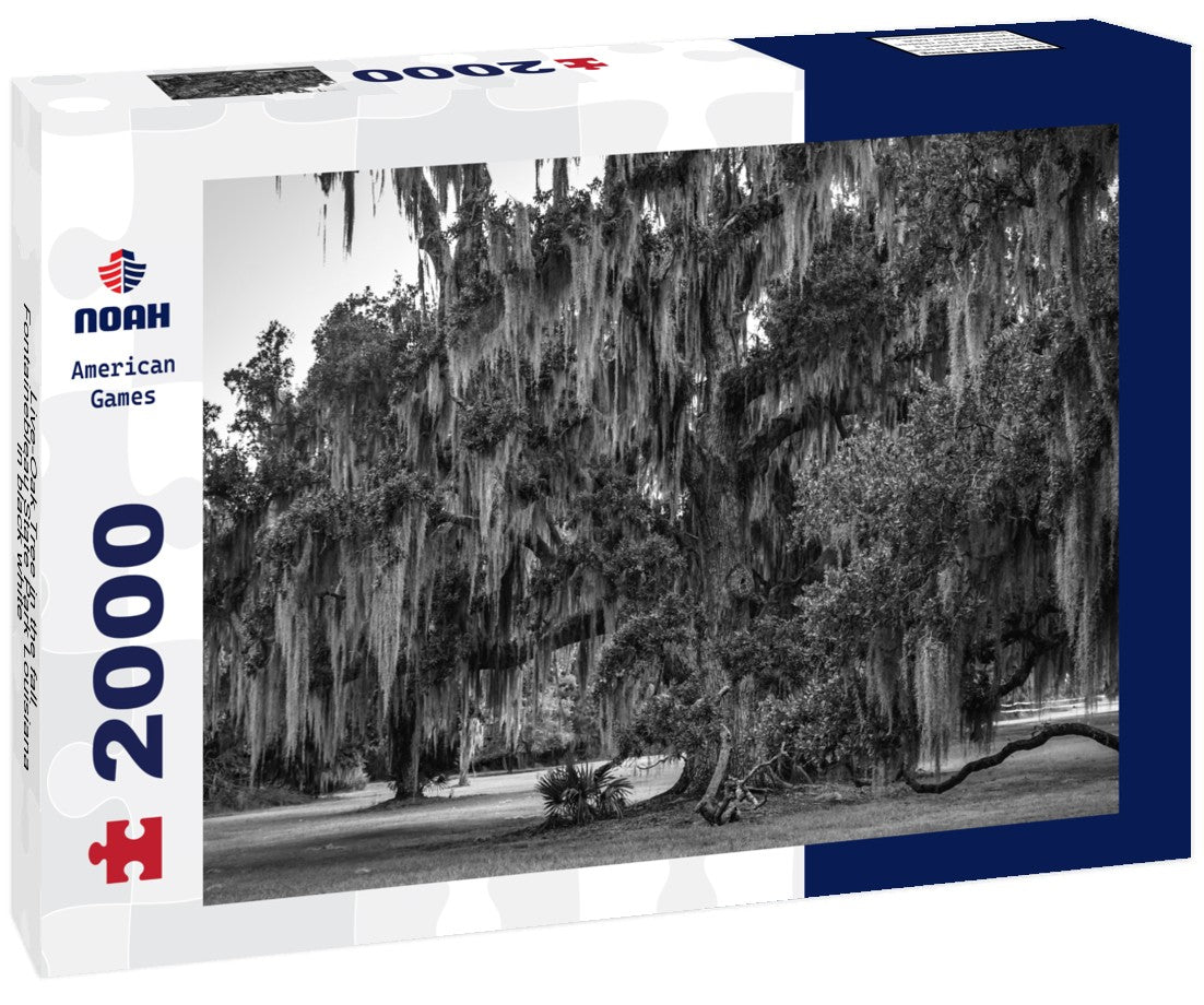 Noah Jigsaw Puzzle Live-Oak Tree in the fall Fontainebleau State Park Louisiana in black white 2000 pieces