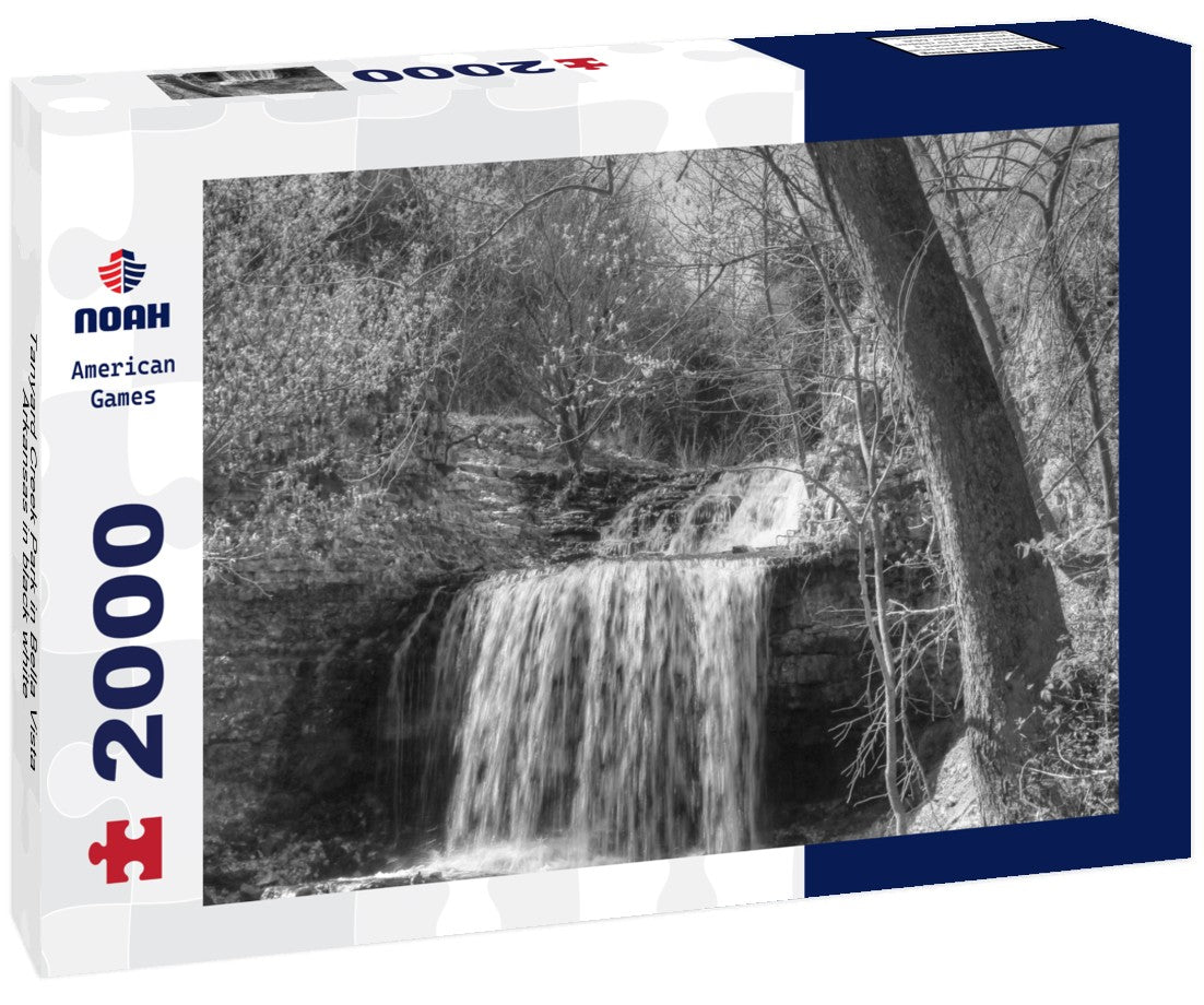 Noah Jigsaw Puzzle Tanyard Creek Park in Bella Vista, Arkansas in black white 2000 pieces