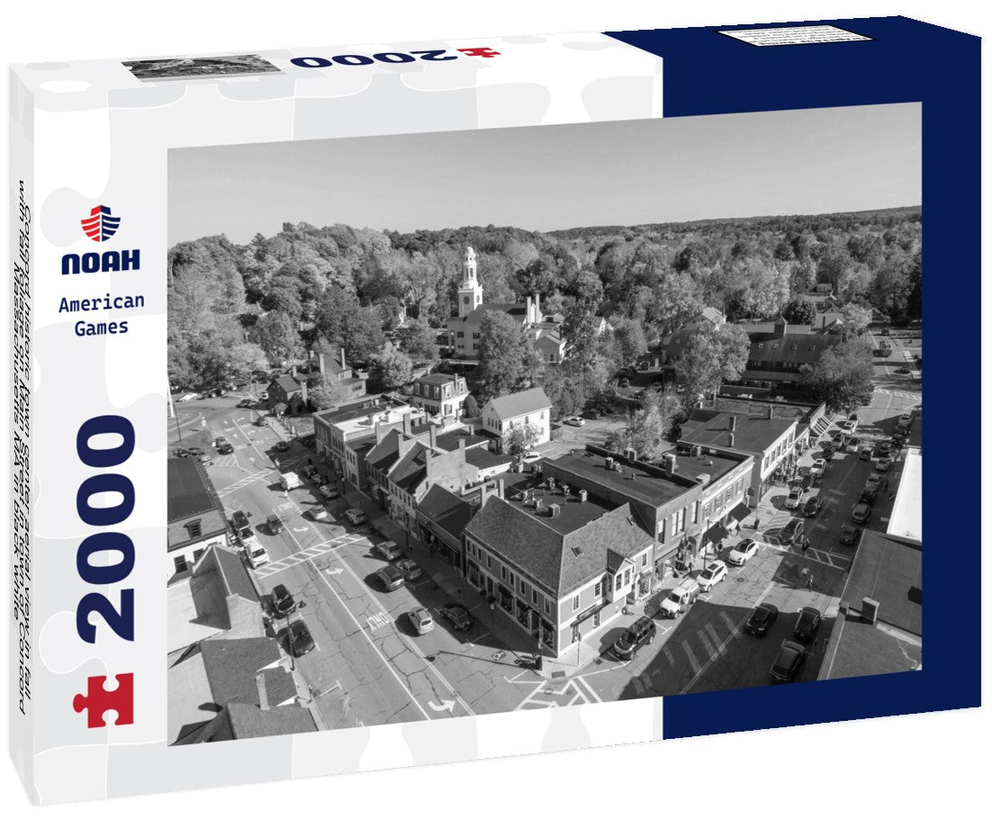 Noah Jigsaw Puzzle Concord historic town center aerial view in fall with fall foliage on Main Street in town of Concord, Massachusetts MA in black white 2000 pieces