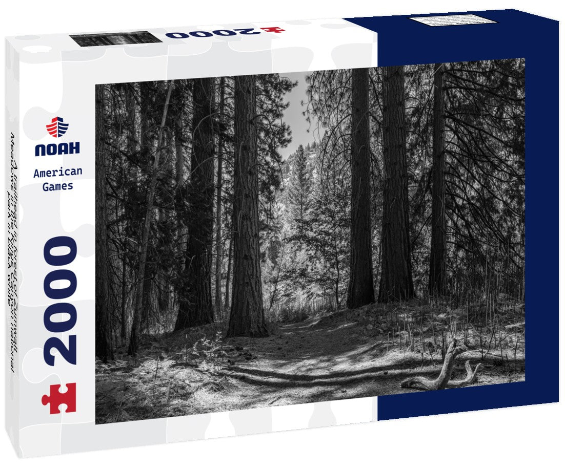 Noah Jigsaw Puzzle A trailhead in forest of Zumwalt Meadows in the Kings Canyon national park in black white 2000 pieces