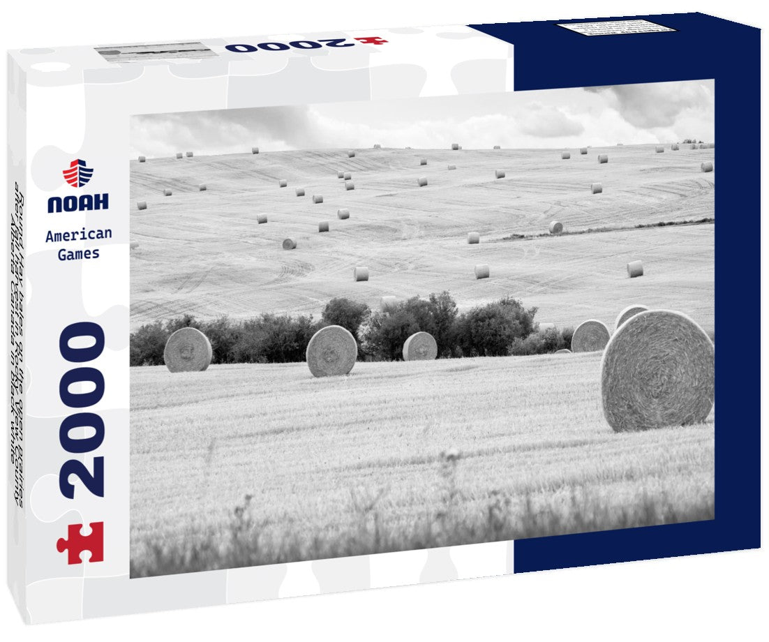 Noah Jigsaw Puzzle Round Hay bales on the open prairies after fall harvest in Rocky View County Alberta Canada in black white 2000 pieces