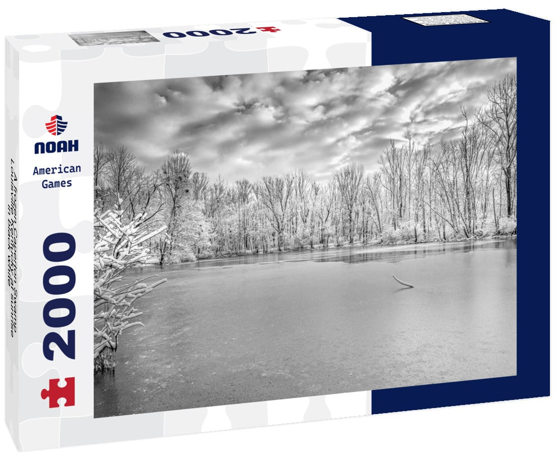 Noah Jigsaw Puzzle A frozen Caperton Swamp Louisville Kentucky at sunrise in black white 2000 pieces