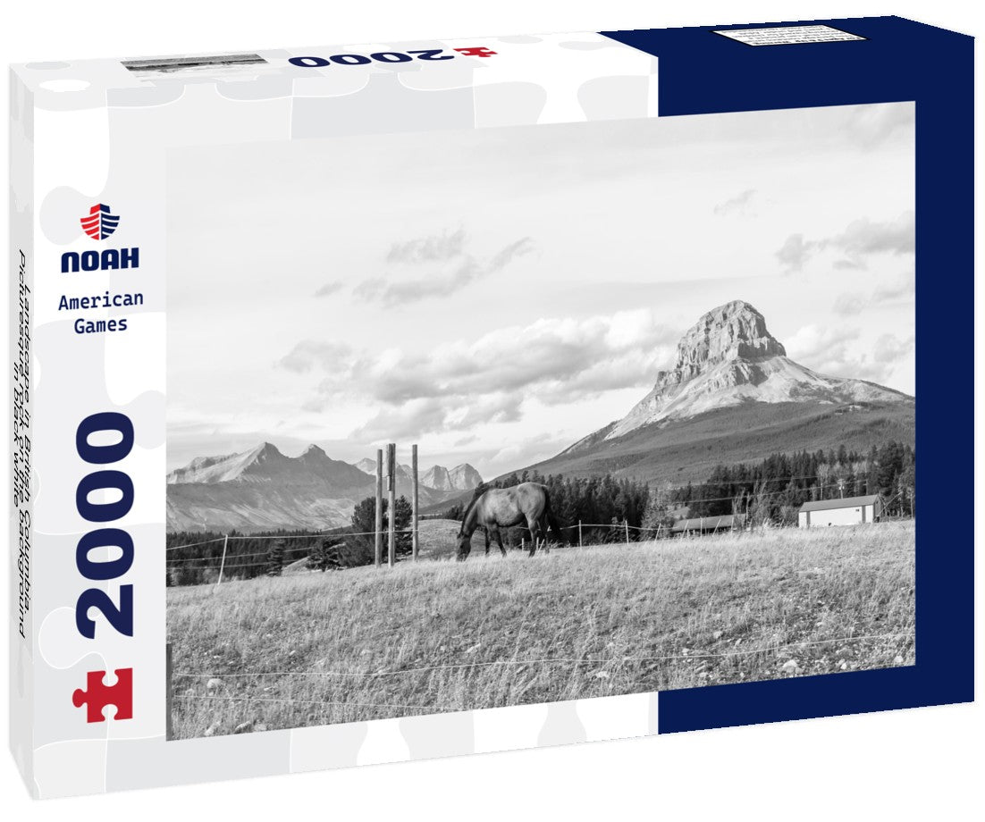 Noah Jigsaw Puzzle Landscape in British Columbia. Picturesque rock on the background in black white 2000 pieces