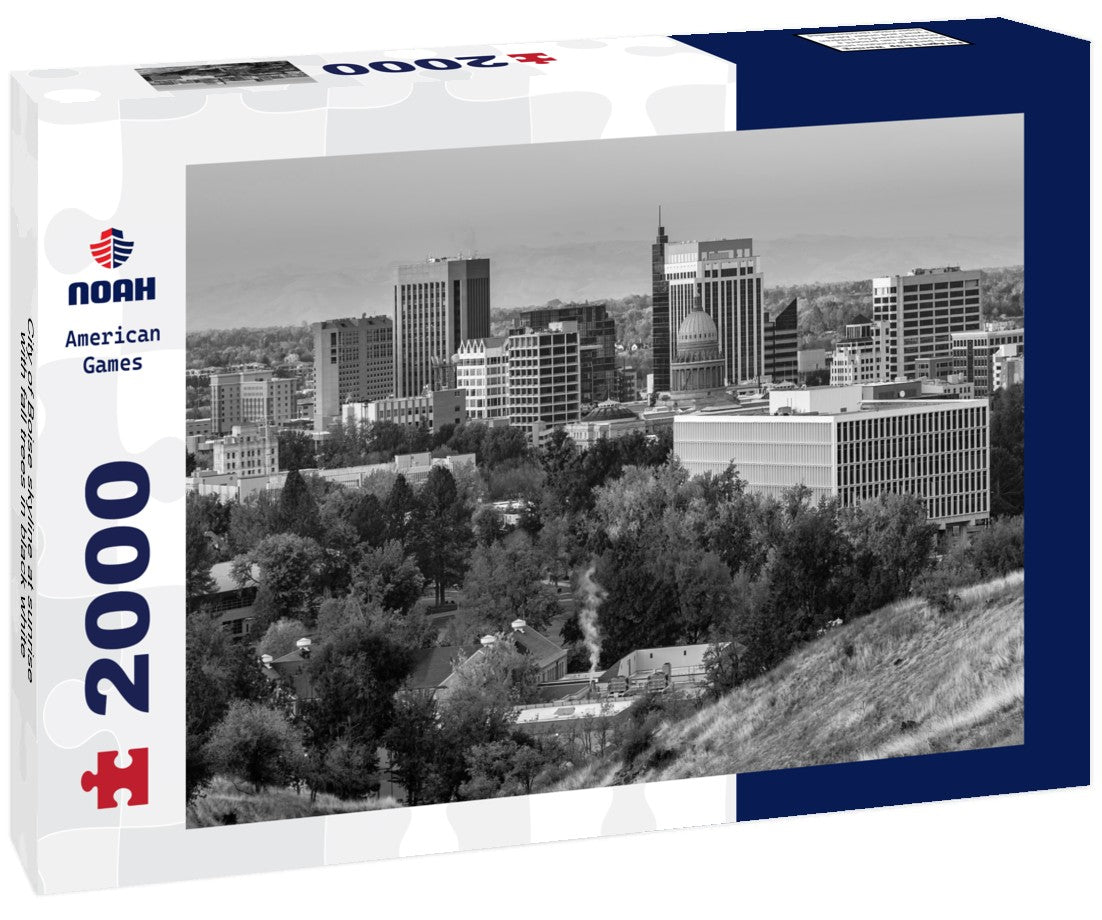 Noah Jigsaw Puzzle City of Boise skyline at sunrise with fall trees in black white 2000 pieces