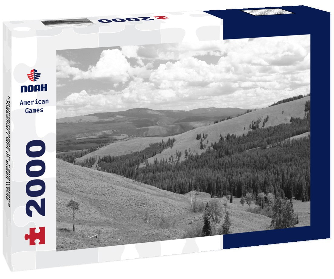 Noah Jigsaw Puzzle Mountainscape In Yellowstone National Park in black white 2000 pieces
