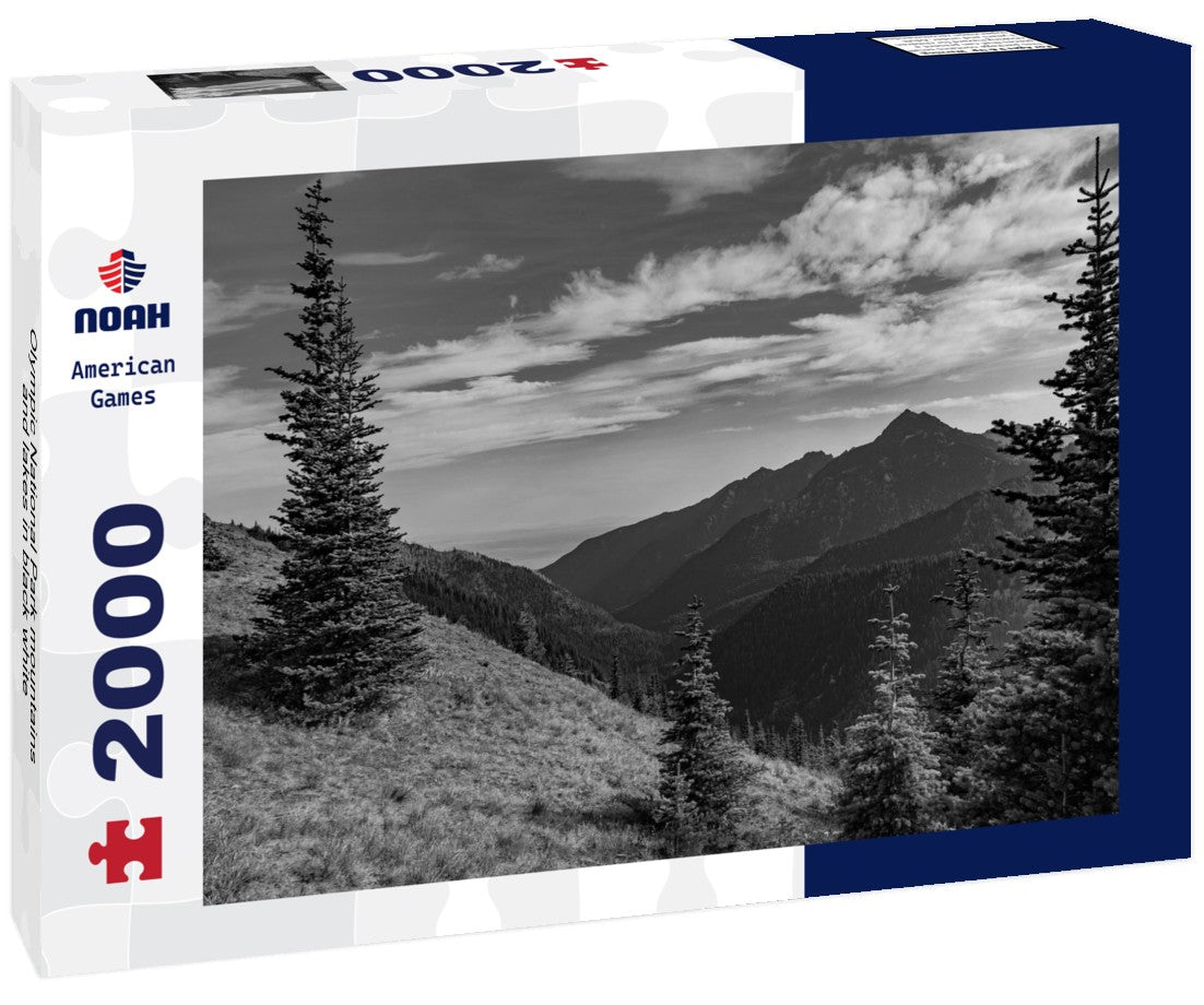 Noah Jigsaw Puzzle Olympic National Park mountains and lakes in black white 2000 pieces