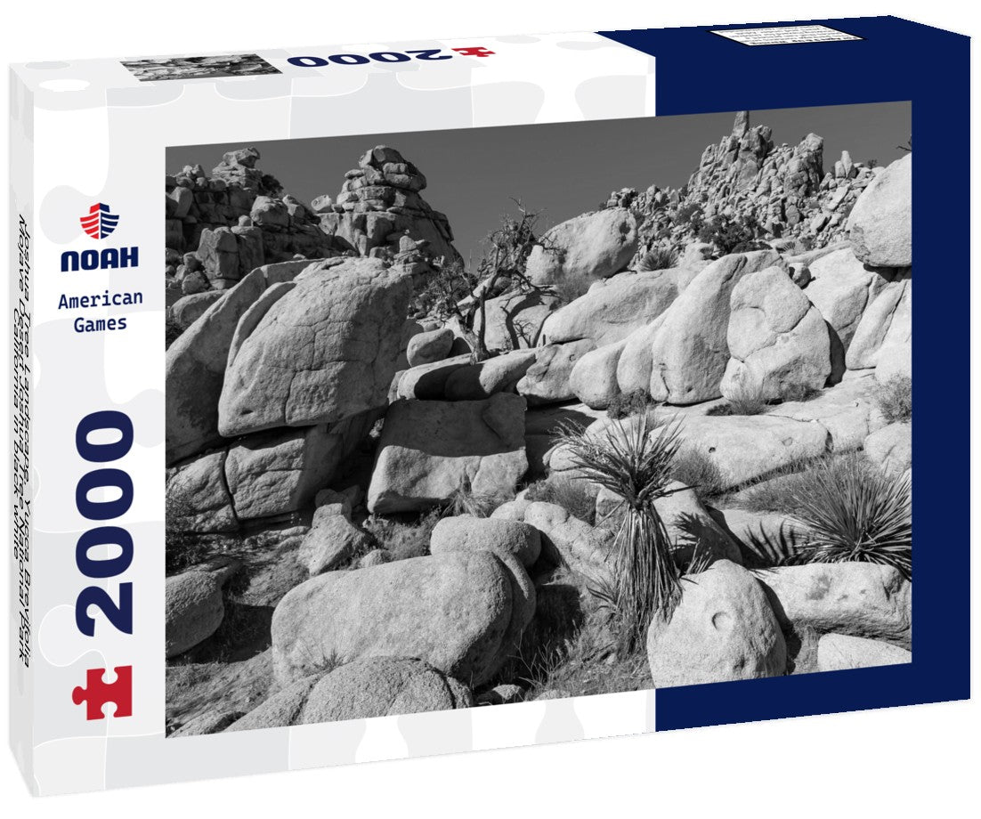Noah Jigsaw Puzzle Joshua Tree Landscape, Yucca Brevifolia Mojave Desert Joshua Tree National Park California in black white 2000 pieces