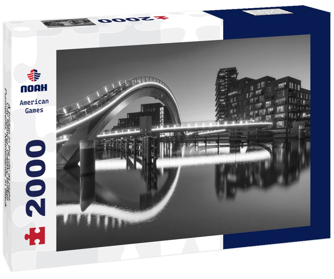 Noah Jigsaw Puzzle A bridge in the city at night. City lighting. Galaxy Bridge, Purmerend, Netherlands in black white 2000 pieces