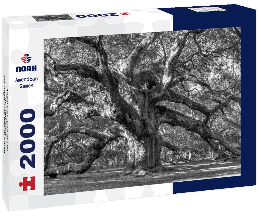 Noah Jigsaw Puzzle Angel Oak Tree of Life, the 1400-year-old Angel Oak tree of South Carolina in black white 2000 pieces