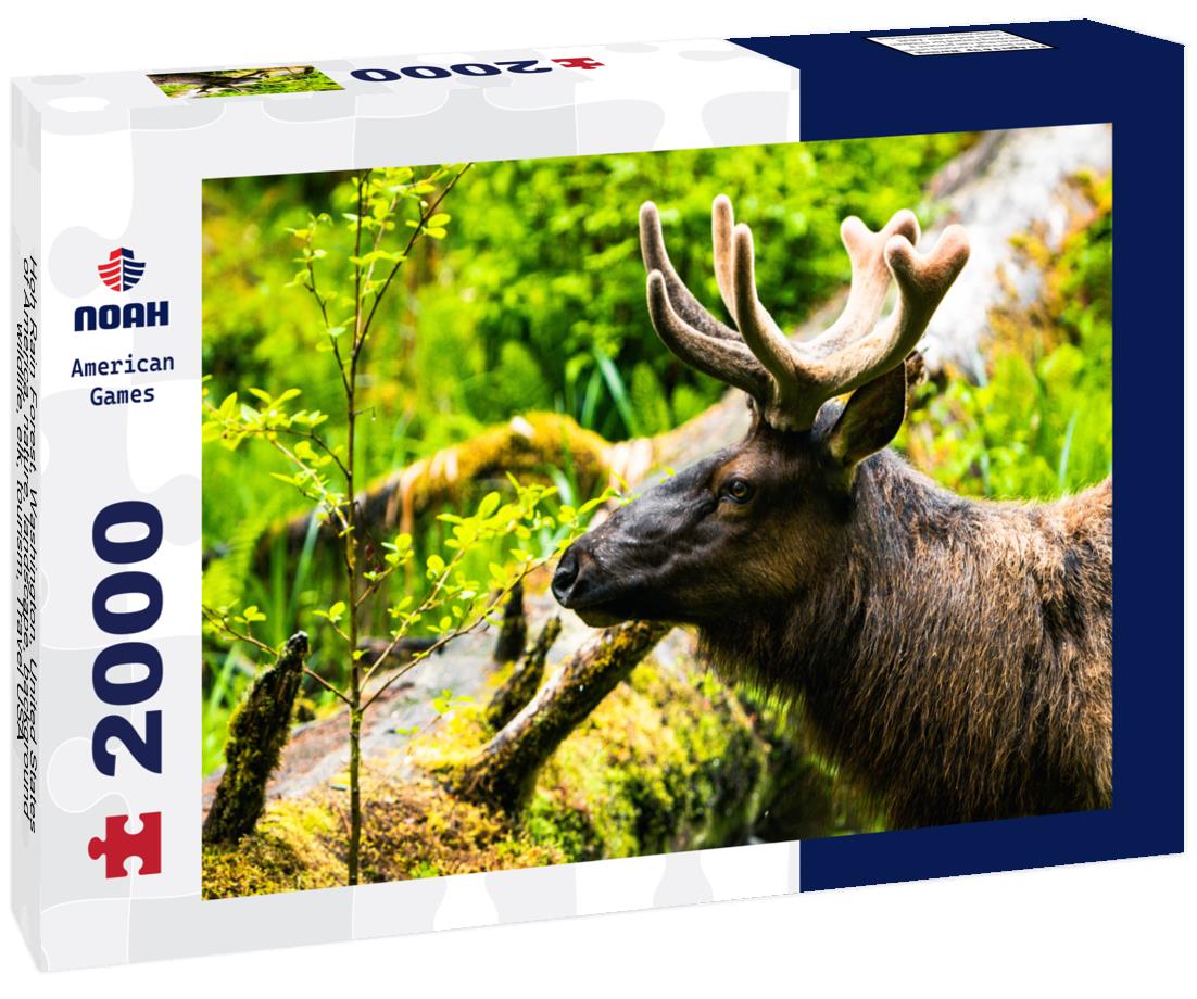 Noah Jigsaw Puzzle Hoh Rain Forest, Washington, United States of America, nature, landscape, background, wildlife, elk, tourism, Travel USA, North America, evergreen 2000 pieces