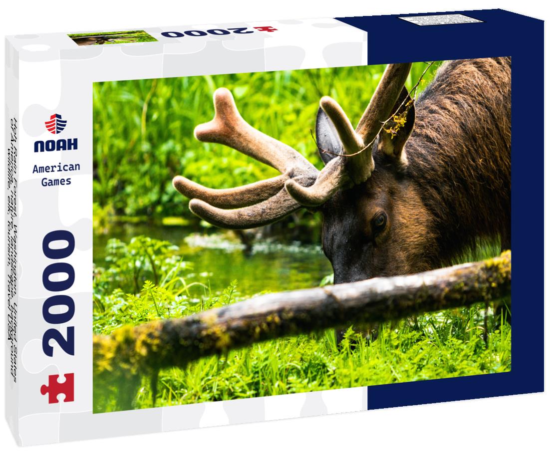 Noah Jigsaw Puzzle Hoh Rain Forest, Washington, United States of America, nature, landscape, background, wildlife, elk, tourism, Travel USA, North America, evergreen 2000 pieces