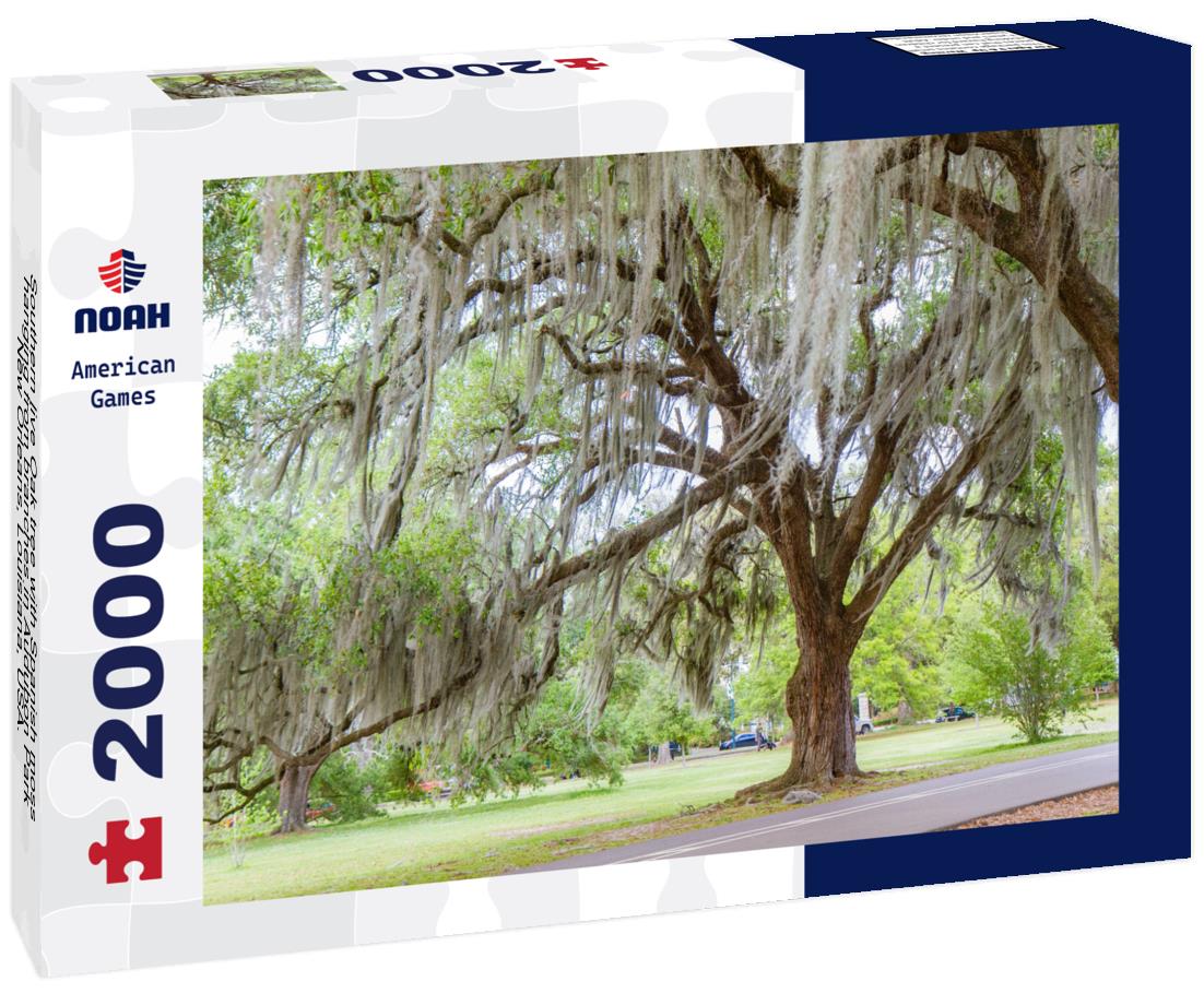 Noah Jigsaw Puzzle Southern live Oak tree with Spanish moss hanging from branches in Audubon Park, New Orleans, Louisiana, USA. No people, daytime horizontal photo 2000 pieces