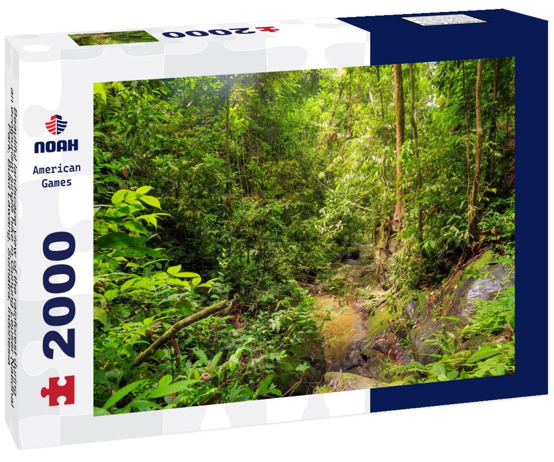 Noah Jigsaw Puzzle Beautiful landscape view of the rainforest during an ecotourism jungle hike in Gunung Leuser National Park, Bukit Lawang, Sumatra, Indonesia 2000 pieces